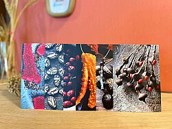 Lalehan Uysal - Kurda, Kuşa, Aşa ve Göze - Tohum Fotoğrafları Serisi (2) - 